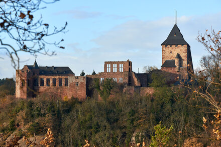 Die Burg Nideggen