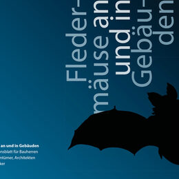 Titelbild Flyer "Fledermäuse an und in Gebäuden"