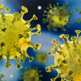 Motivbild Coronavirus [Foto: ©peterschreiber.media - stock.adobe.com]