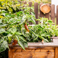 Kita Sonnenschein Heimbach