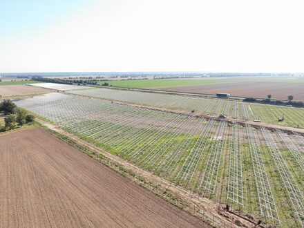 Drohnenaufnahme des Solarparks an der A1