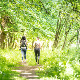 Zwei Wanderinnen im Wald