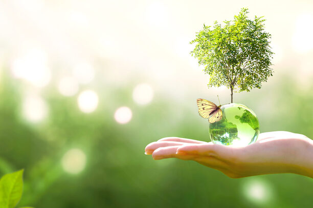 Symbolfoto einer Hand, die eine Glaskugel hält aus welcher ein Baum wächst