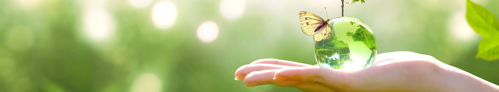 Earth crystal glass globe ball and growing tree in human hand, f