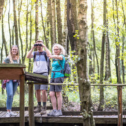 Touristen unterwegs im Hürtgenwald.