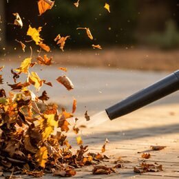 Laubbläser im Einsatz. Foto: velikiyzayats/stock.adobe.com